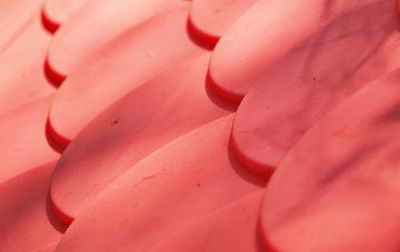 Caim plastic roof costs