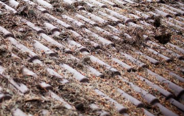 Caim roof cleaning companies