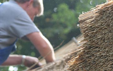 professional Caim thatchers