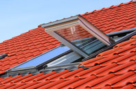 Caim roof window